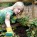 Gardening in School